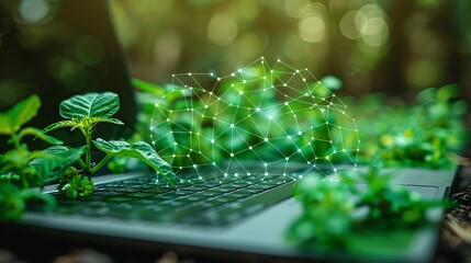 Connecting the World: A Laptop's Window to Global Sustainability