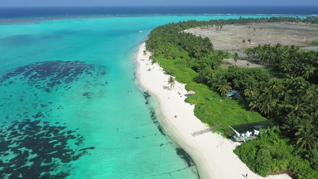 Aerial view of tropical beach with palm trees and fields, Thoddoo Atoll, Maldives.