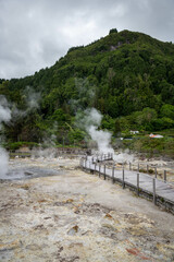 Geyser A&ccedil;ores
