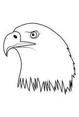 Eagle vector outline image, editable Eagle outline image, Eagle portrait