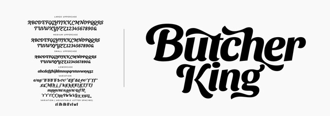 Elegant Font Uppercase Lowercase and Number. With Variation Classic Lettering Minimal Fashion Designs. Typography modern serif fonts regular decorative vintage concept. vector illustration