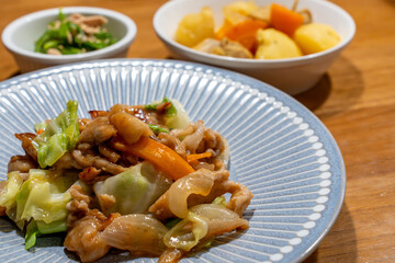 野菜炒めと日本のおかず