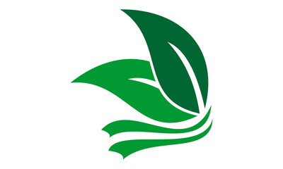 nature leaf logo