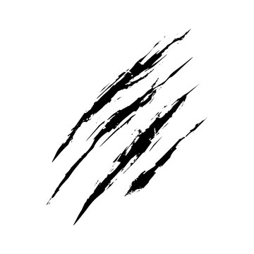 Beast Claws Scratches Vector Isolated