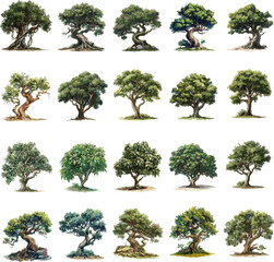 TREE SET IN COLOR STYLE, KIARA TREE SET IN COLOR STYLE