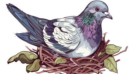 Pigeon Baby With Nest Vector Illustration Handdrawn 
