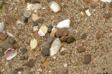beach with sand and shells, footprints in the sand