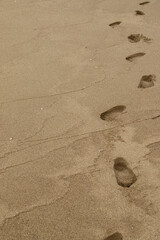 beach with sand and shells, footprints in the sand