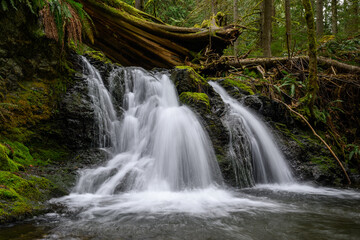 A Waterfall on San Juan Island in Washington State