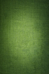 texture of green leather.