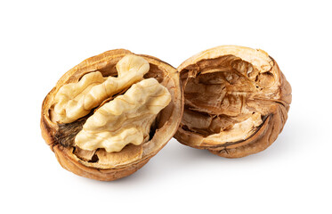 Walnut on white background