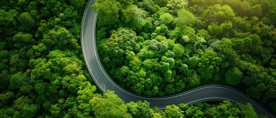 Aerial perspective of a road winding through a lush green forest, symbolizing sustainability, high resolution