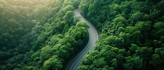 Winding road through a green forest, aerial view, sustainability journey, high resolution and detailed