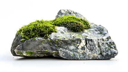 Mossy stone isolated on white background