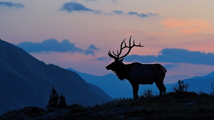 Majestic Elk Silhouette Against Mountainous Horizon at Dusk