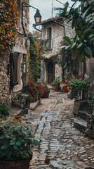 Fototapeta premium small village. front gardens with assorted flowers . Old street with flowers in the old town 