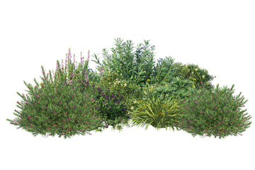 Green garden bushes cut out on white