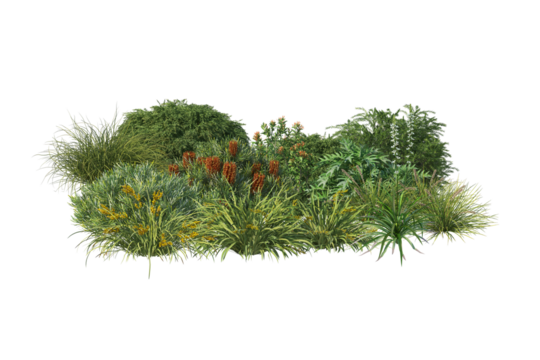 Green Garden bushes, shrub flowers and grass flowers on transparent background
