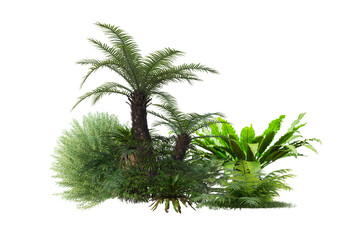 3d render shrub flowering plants. Green garden bushes on transparent background