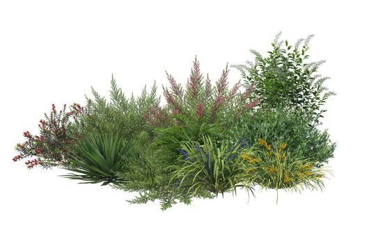 Green garden bushes. Shrubs and flower cut out transparent background