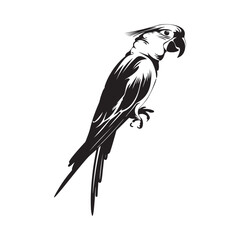 Macaw parrot vector Stock Vector. black and white macaw isolated on white background
