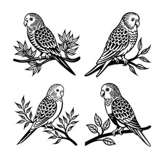 Budgerigar Sitting on Tree Branch Silhouette Illustration Bundle Set for Nature and Bird Lovers