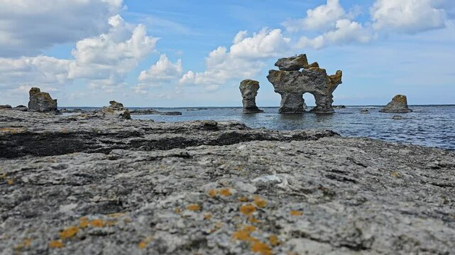 Kaffepannan rock - a dog, Limestone stacks called Rauks at Gamla hamn Nature Reserve on the island of F&aring;r&ouml;, northern Gotland, Sweden, Scandinavia, during sunny day, Baltic sea shore tide, seagulls
