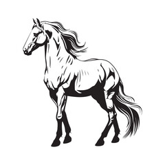 White Horse Standing Images  vector. Horse isolated on white background