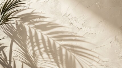 Empty room wall with texture tropical leaves shadow for product display presentation. Minimalist shadow overlay for product placement, stage pedestal or platform, promotion.