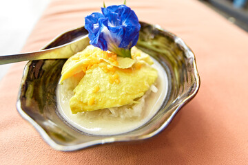 Durian and sticky rice