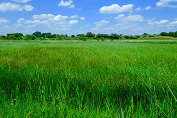 étang salé courthézon vaucluse