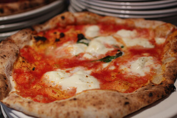 pizza with tomatoes and buffalo