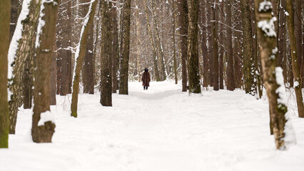 A person is walking in a snowy forest. The trees are bare and covered with snow. The person is wearing a brown coat and is enjoying the winter landscape.