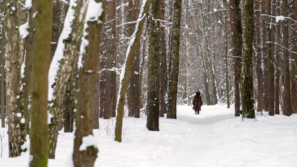 A person is walking through a snowy forest. The trees are bare and covered in snow. The person is wearing a brown coat and he is enjoying the winter scenery.
