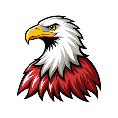 eagle vector art color design illustration