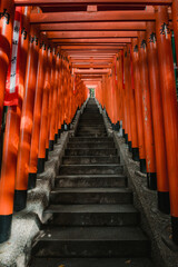 Red torii gates passage staircase tunnel