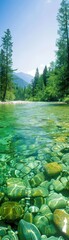 Fototapeta premium Crystal clear mountain river with visible rocks under water, surrounded by lush green pine trees and distant mountains under a clear blue sky.