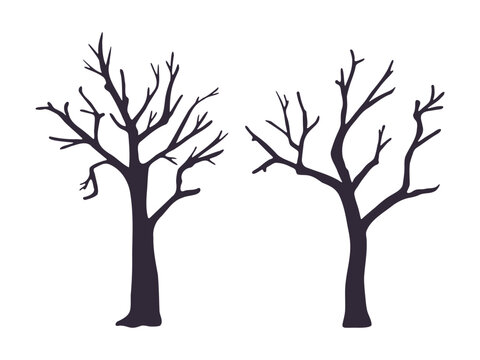 Set of vector spooky trees. Hand drawn bare dead creepy tree dark silhouettes isolated on white background for Halloween designs. Old haunted forest illustration