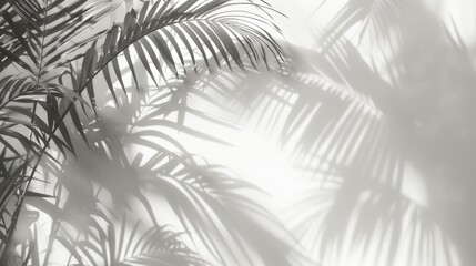 Obraz premium Palm Leaves Shadow on White Background, Generative AI