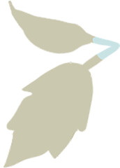 Meadow field wildflower garden greenery countryside elements