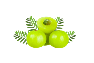 Fresh Amla (Indian gooseberry) fruits with cut in half and leaves isolated on white background