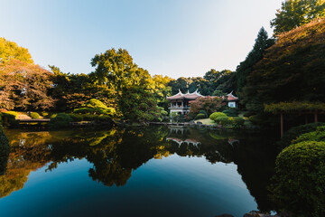 A peaceful Japanese zen garden in autumn