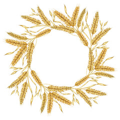 Wheat ears round frame. Barley stalks watercolor wreath for bread, flour packaging, bakery branding. Rustic clipart for barn wedding invitations, autumn harvest festival, Thanksgiving, Shavuot