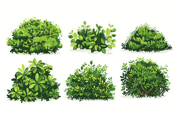 Fototapeta premium Set of vector bush illustrations on a white background. Green flat bushes on white background. Green grass vector set. Shrub bush shrubbery tree simple abstract. Eco element, foliage, stylized ecology