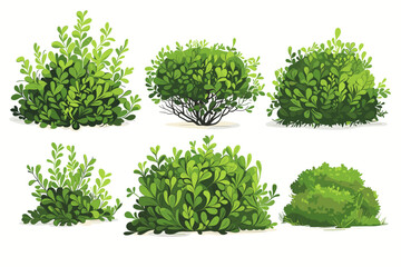 Fototapeta premium Set of vector bush illustrations on a white background. Green flat bushes on white background. Green grass vector set. Shrub bush shrubbery tree simple abstract. Eco element, foliage, stylized ecology