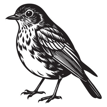 recommend clip art: european robin silhouette collection