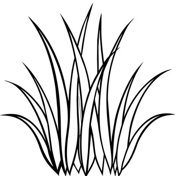 recommend clip art: Grass line art vector illustration