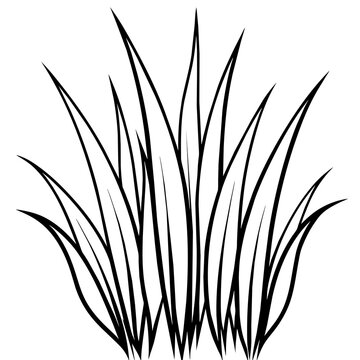 recommend clip art: Grass line art vector illustration