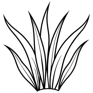 recommend clip art: Grass line art vector illustration
