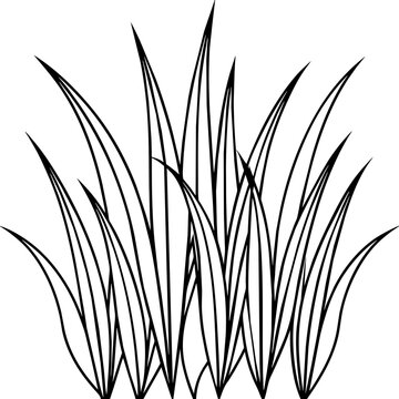recommend clip art: Grass line art vector illustration